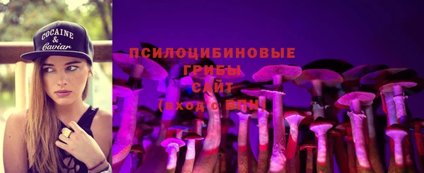 спиды Медногорск