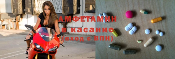 хмурый Магас