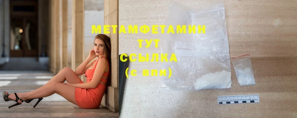 хмурый Магас