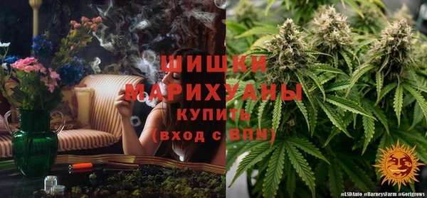эйфоретик Магадан