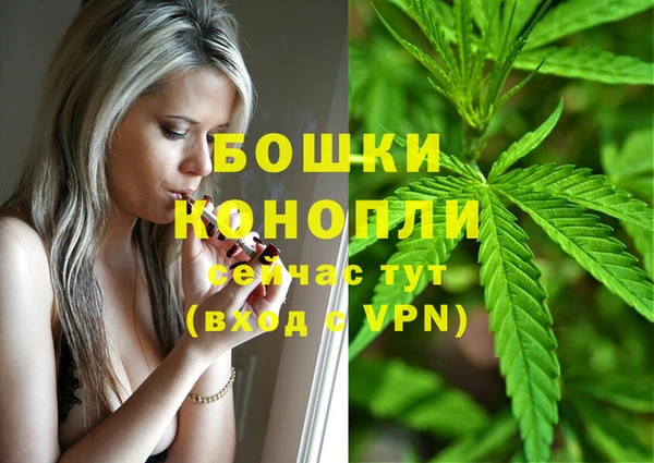 мдпв Мегион