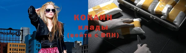 мдпв Мегион