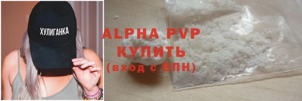 хмурый Магас