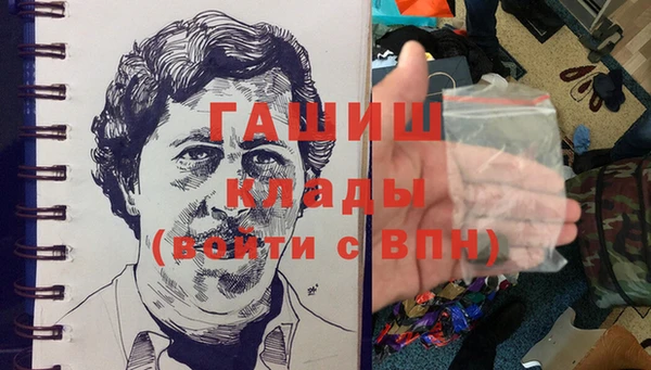 хмурый Магас