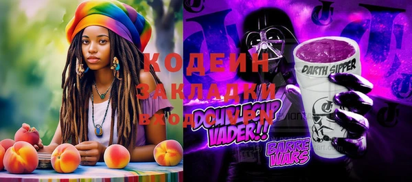 хмурый Магас