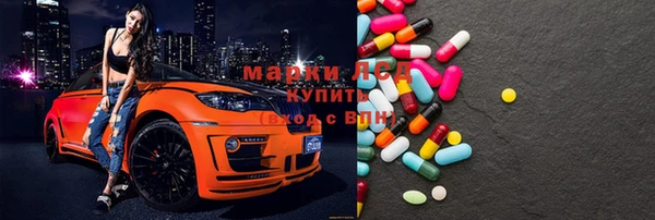 хмурый Магас