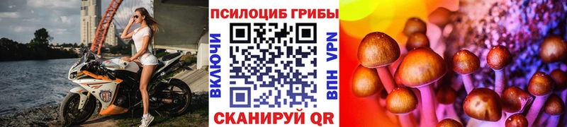 ссылка на мегу ссылки  Ядрин  Псилоцибиновые грибы мухоморы 